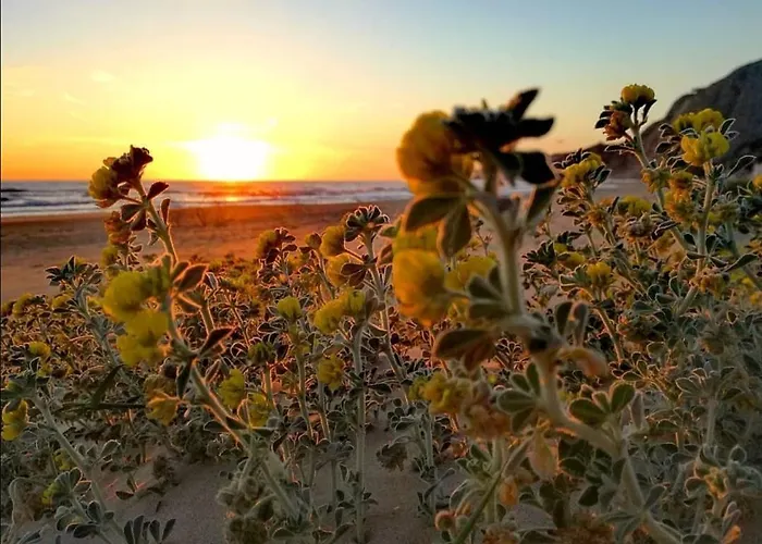 Casetta Marconi....tra Mare E Storia!